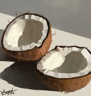 Coconut study