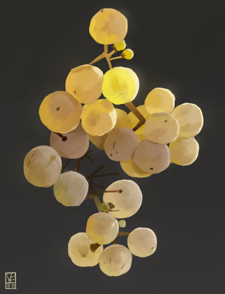 Grapes by WhimsicalFishy on DeviantArt