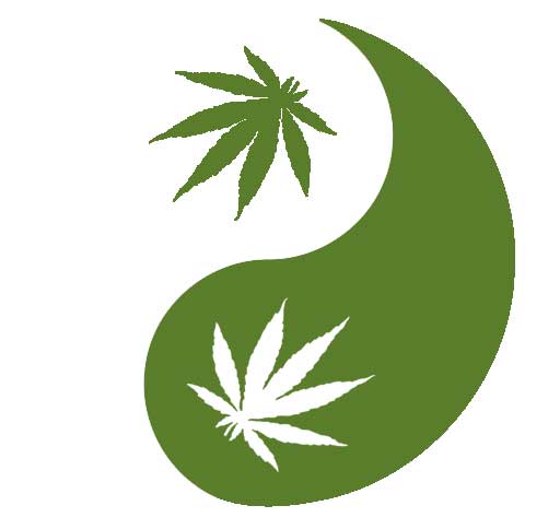 .: Marijuana Yin Yang :.