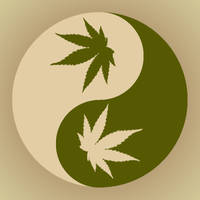 Marijuana Yin Yang