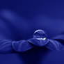 Blue Resurrection