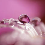 wish you were here.. by Preludium
