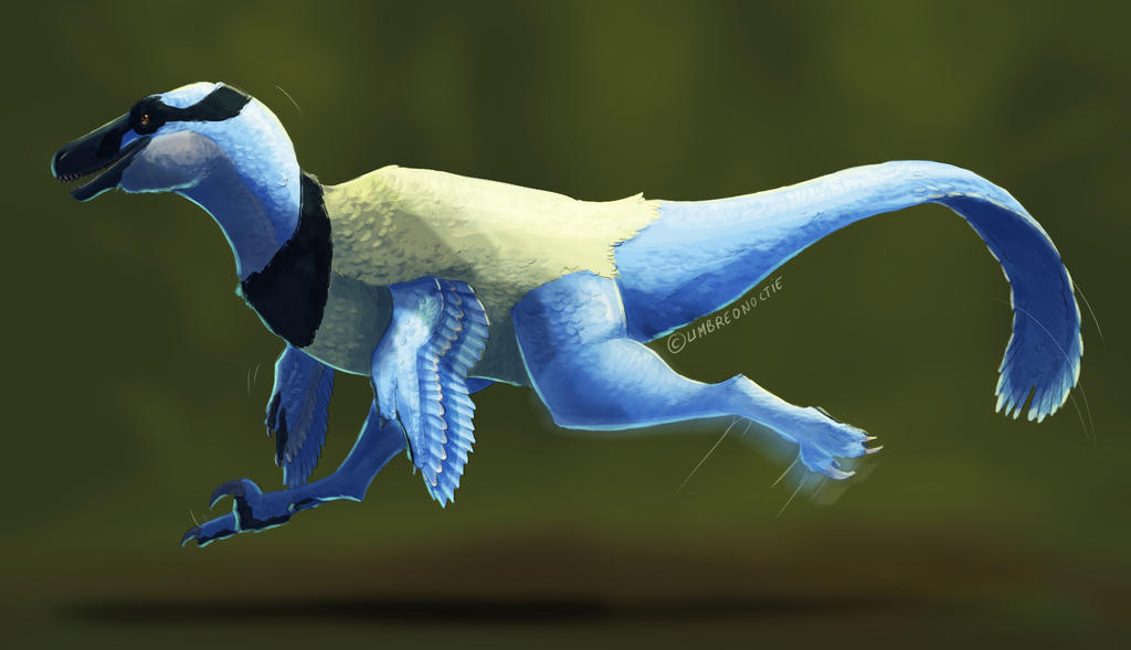 Dakota Rabbit Running Dakotaraptor by UmbreoNoctie on DeviantArt