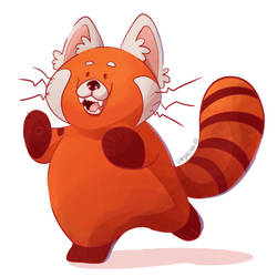 Fluffy Red Panda