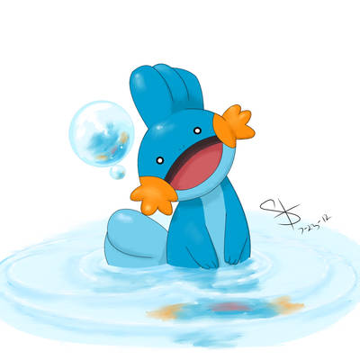 MUDKIP!