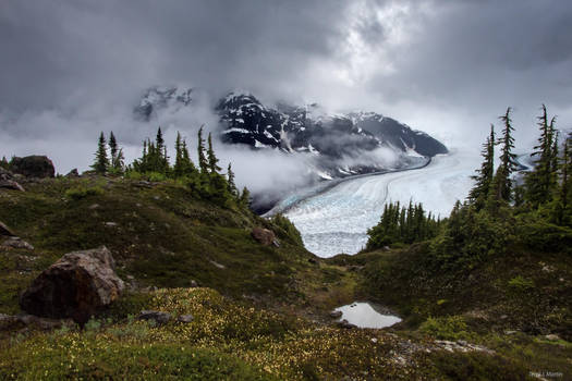 Salmon Glacier