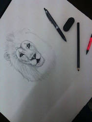 The king of jungle in process
