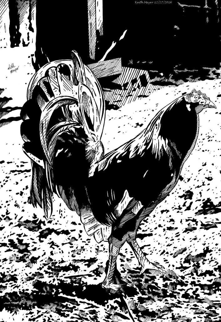 Rooster (Ink)