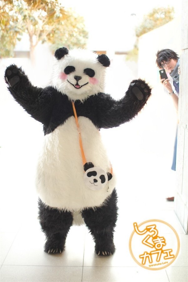 Shirokuma Cafe Rinrin And Panda By Etienne Magique On Deviantart