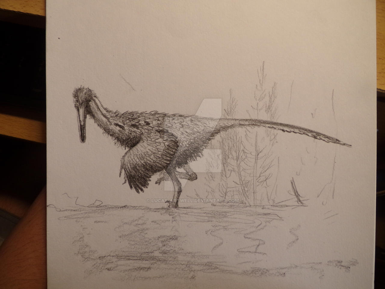 Buitreraptor