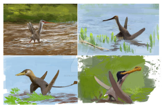 Pterosaur sketches