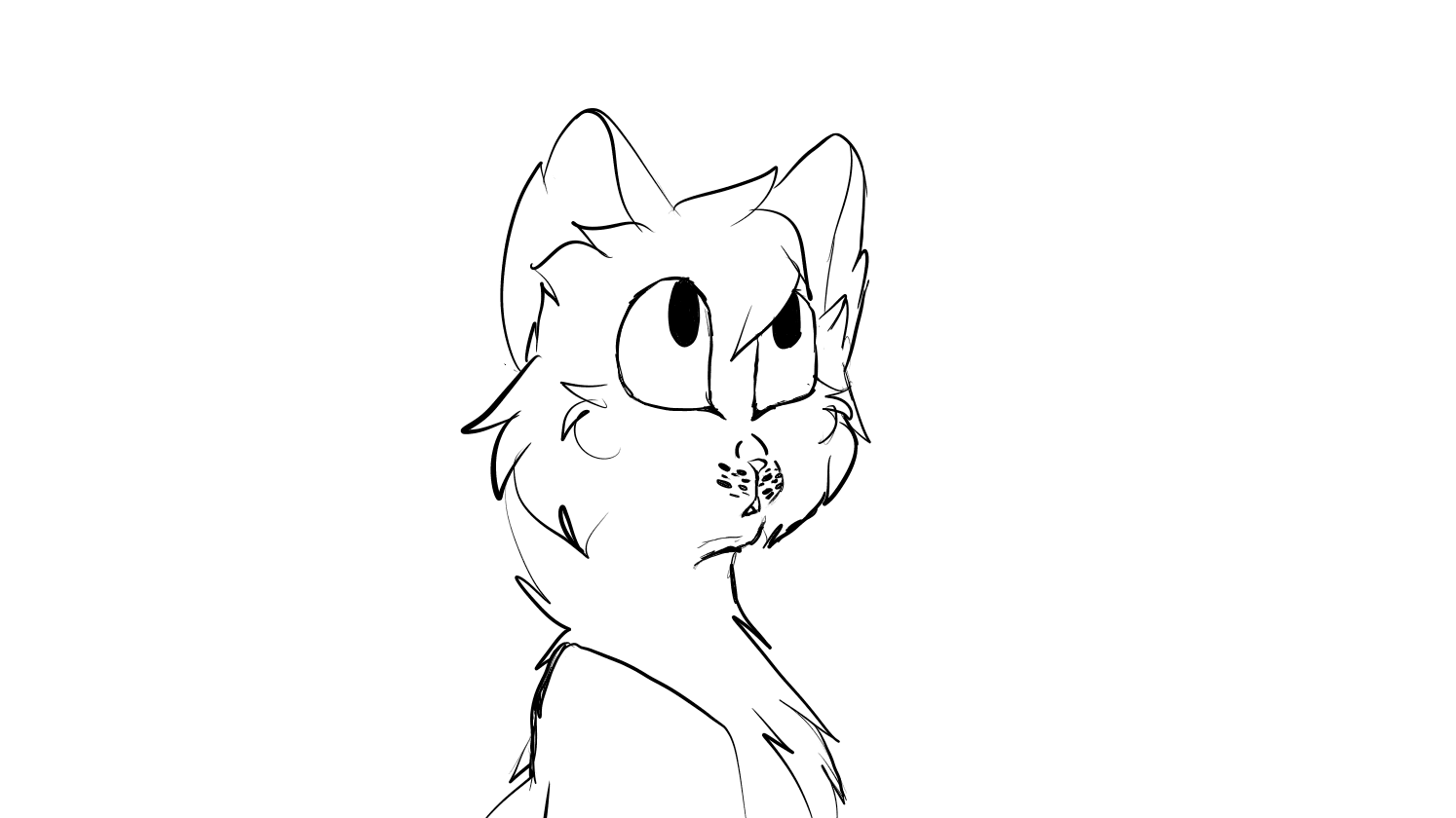 Angry Black Cat Gif