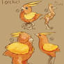 Torchic Variant