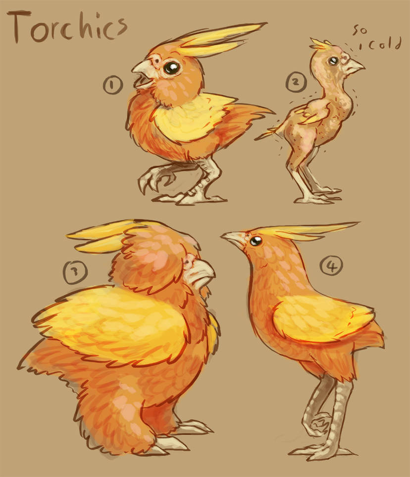 Torchic Evolution Drawing.pdf Torchic Variant by basiliskFree on DeviantArt