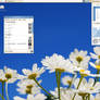 Desktop 17.06.08