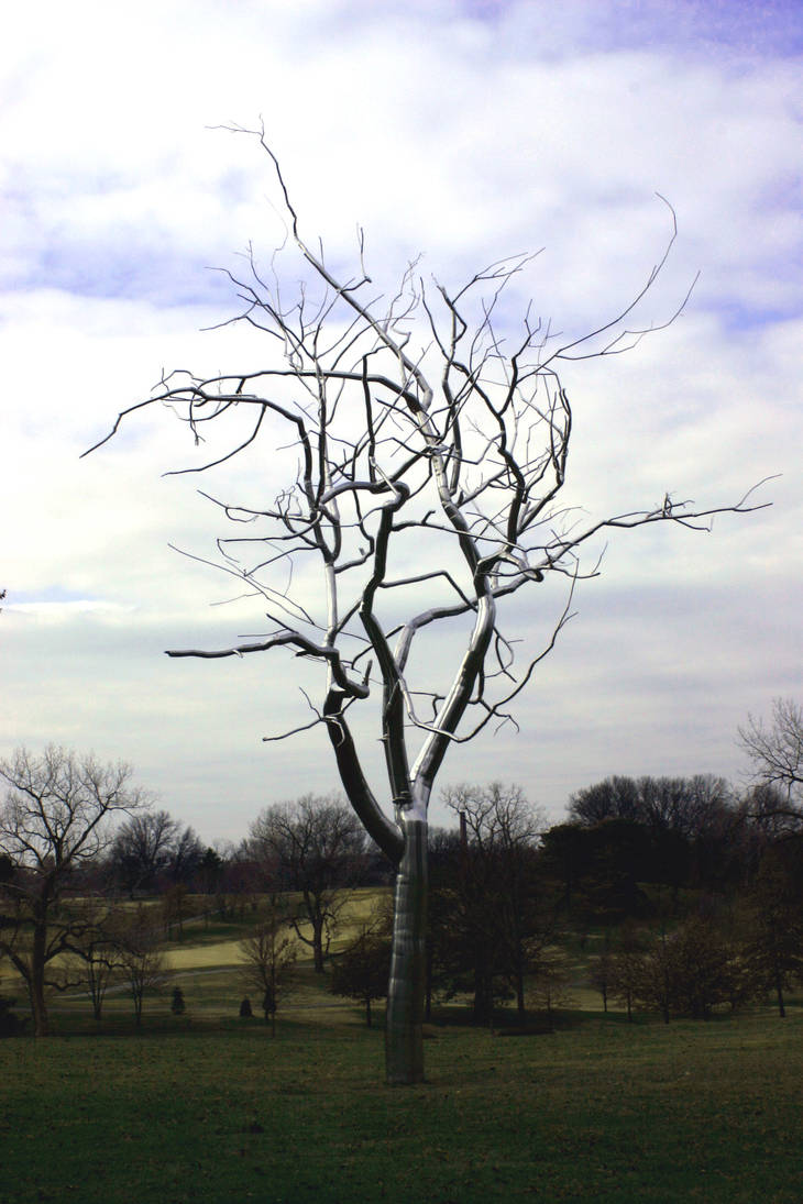 The tree 4 by KaceCoyote on DeviantArt
