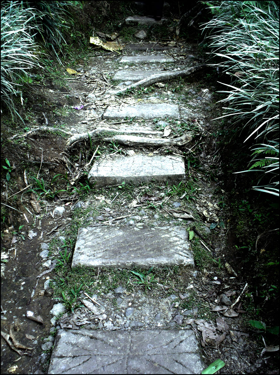 Stone Steps