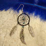 Raven's dream catcher