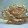 Champagne Fabric Flower 02