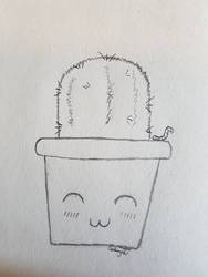 Cacti