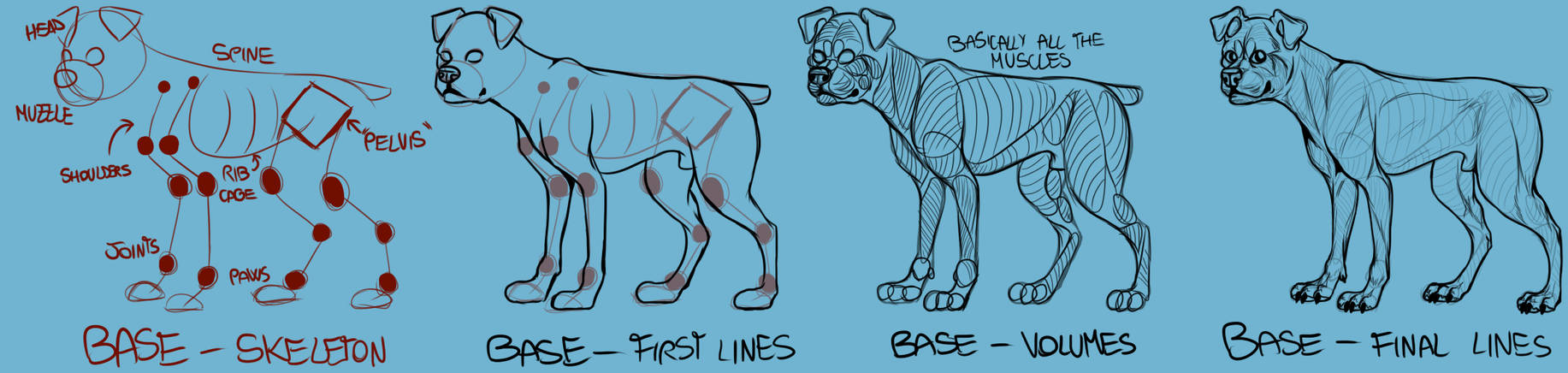 Dog Body Project Doggie body mini tutorial by screshh on DeviantArt
