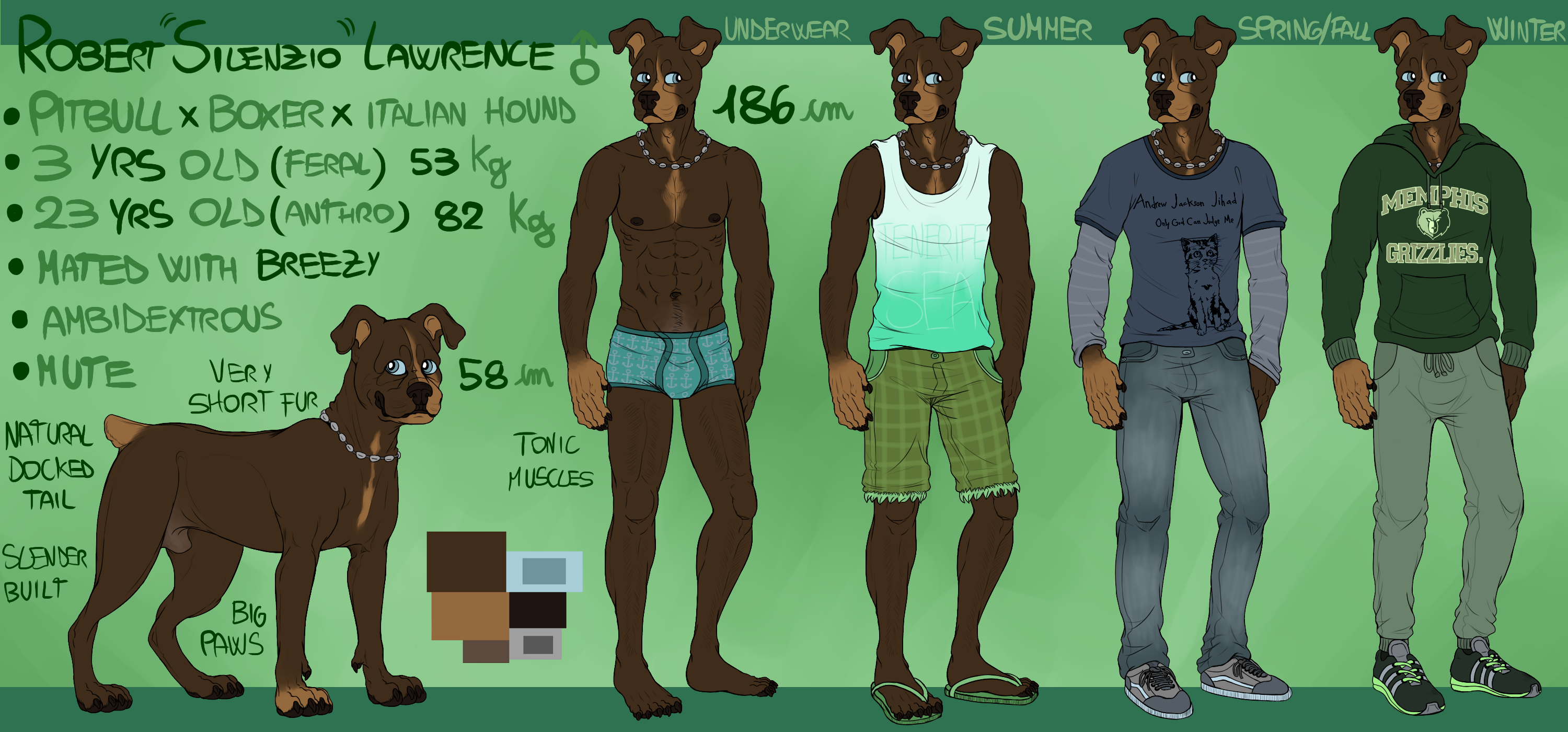 Robert Silenzio Lawrence reference sheet 2015