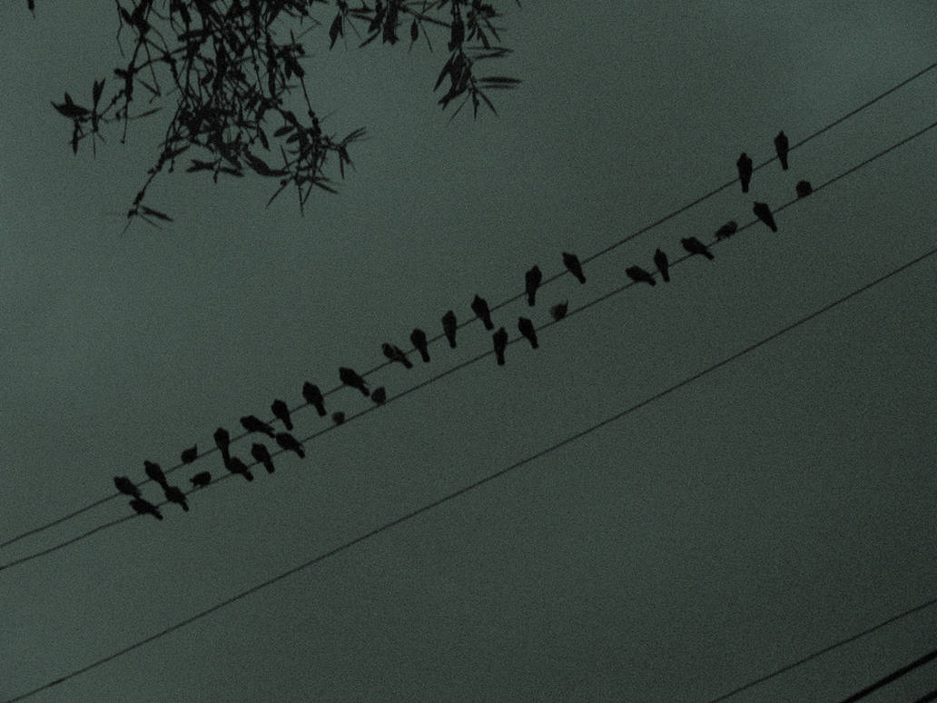 Dark Gathering by cyberpunk-dystopia on DeviantArt