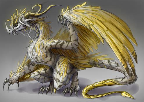 Amber the golden wings wyvern