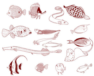 Fishes