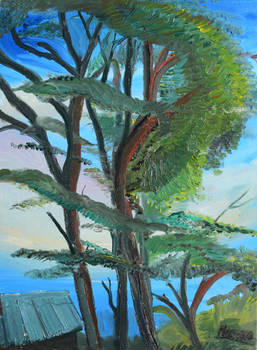 Leve de soleil sur Ville d'Avray