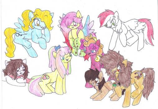 My Brony Friends :D