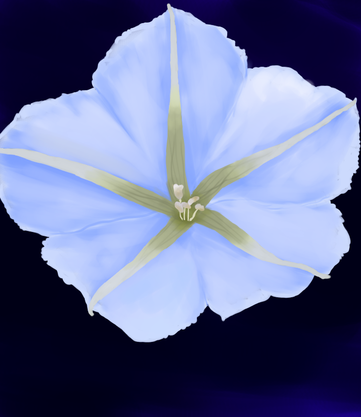 Moon flower (drawing) by LyraThea on DeviantArt