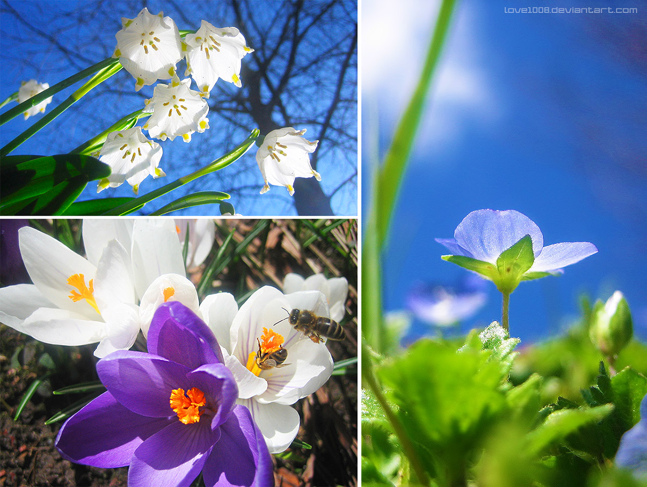 March Flower Mix 2