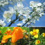 April Flower Mix 2