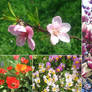 April Flower Mix 3
