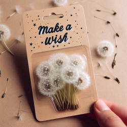 Make-a-wish portable