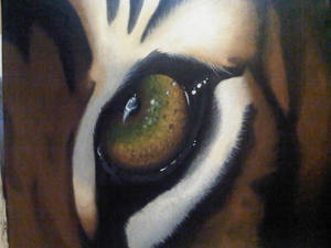 tiger eye