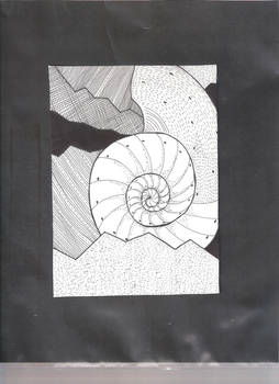 Shell in Ink