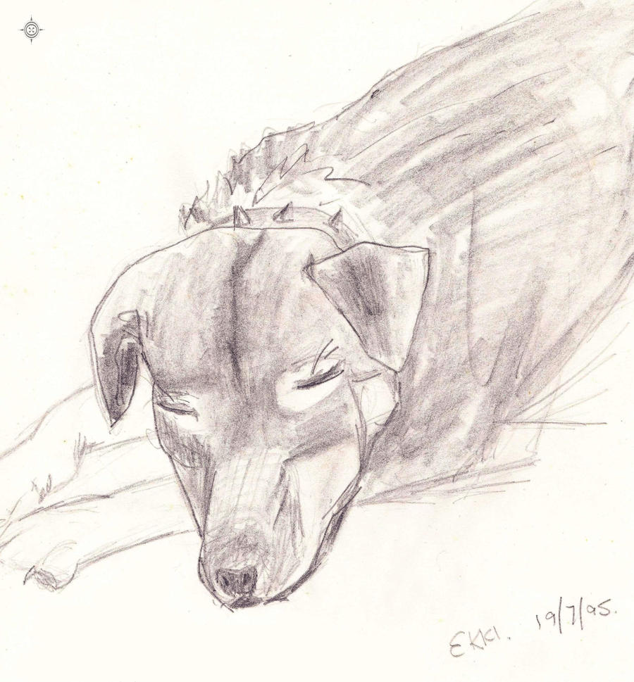 Ekki Dog - Sketch 1