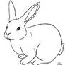 Rabbit template free