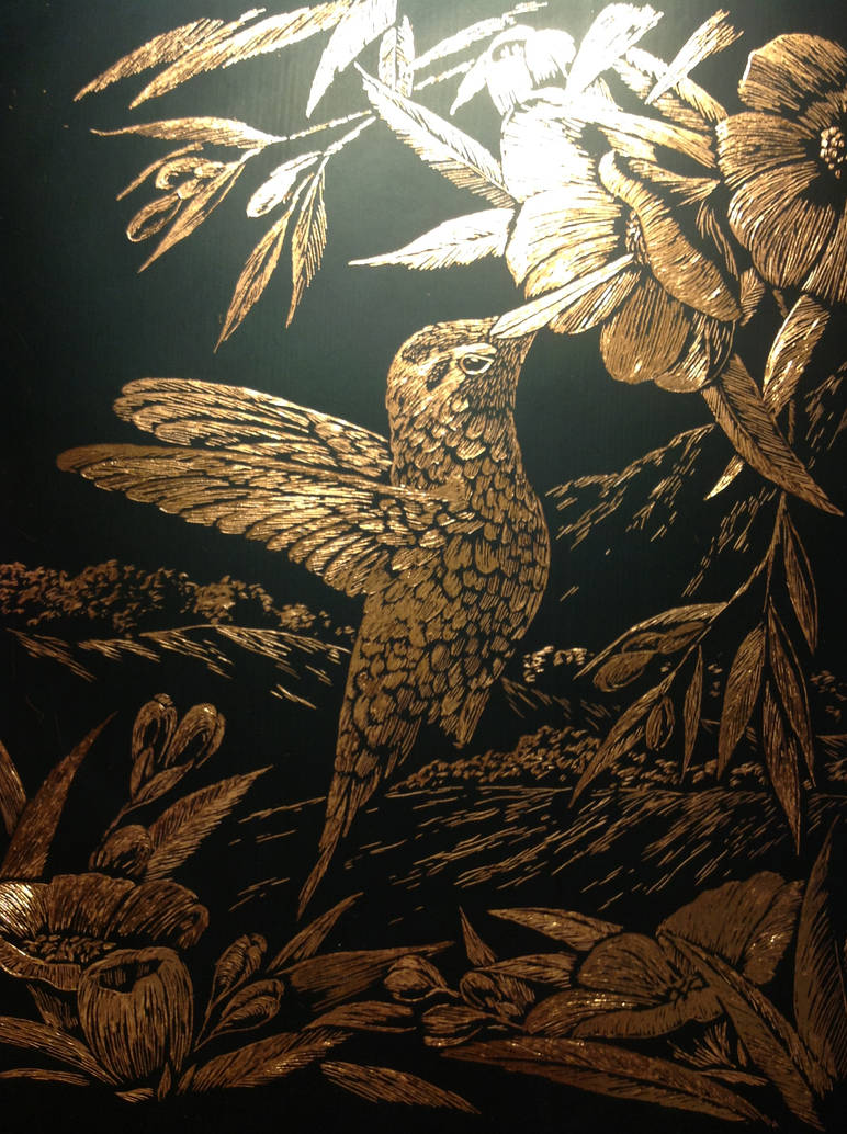 Hummingbird - scratchboard by bbbcomiclover1 on DeviantArt