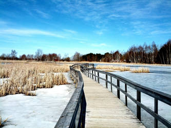 Waterfowl Park