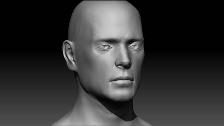 Facial Anatomy Sculpt