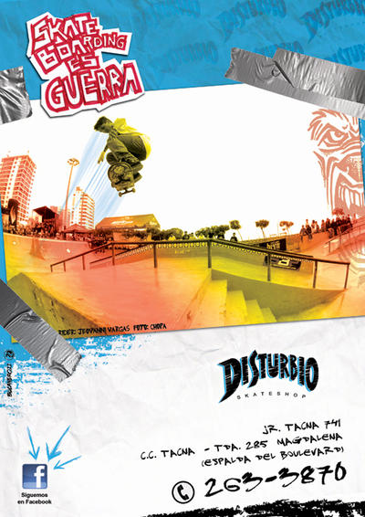 DISTURBIO skateboards