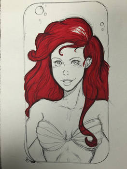 Doodle - Ariel