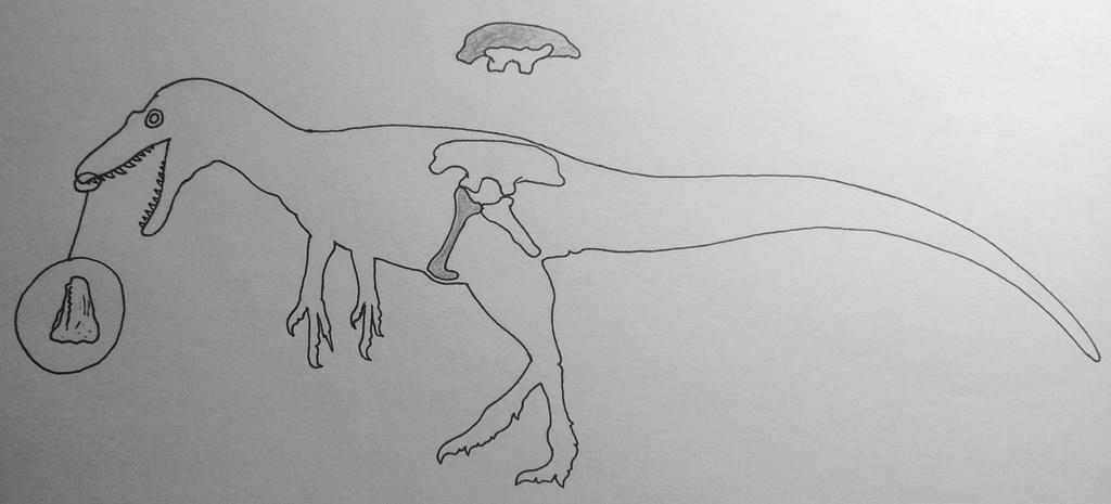 Aviatyrannis jurassica by deinocheirusmaster on DeviantArt