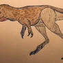Moros intrepidus