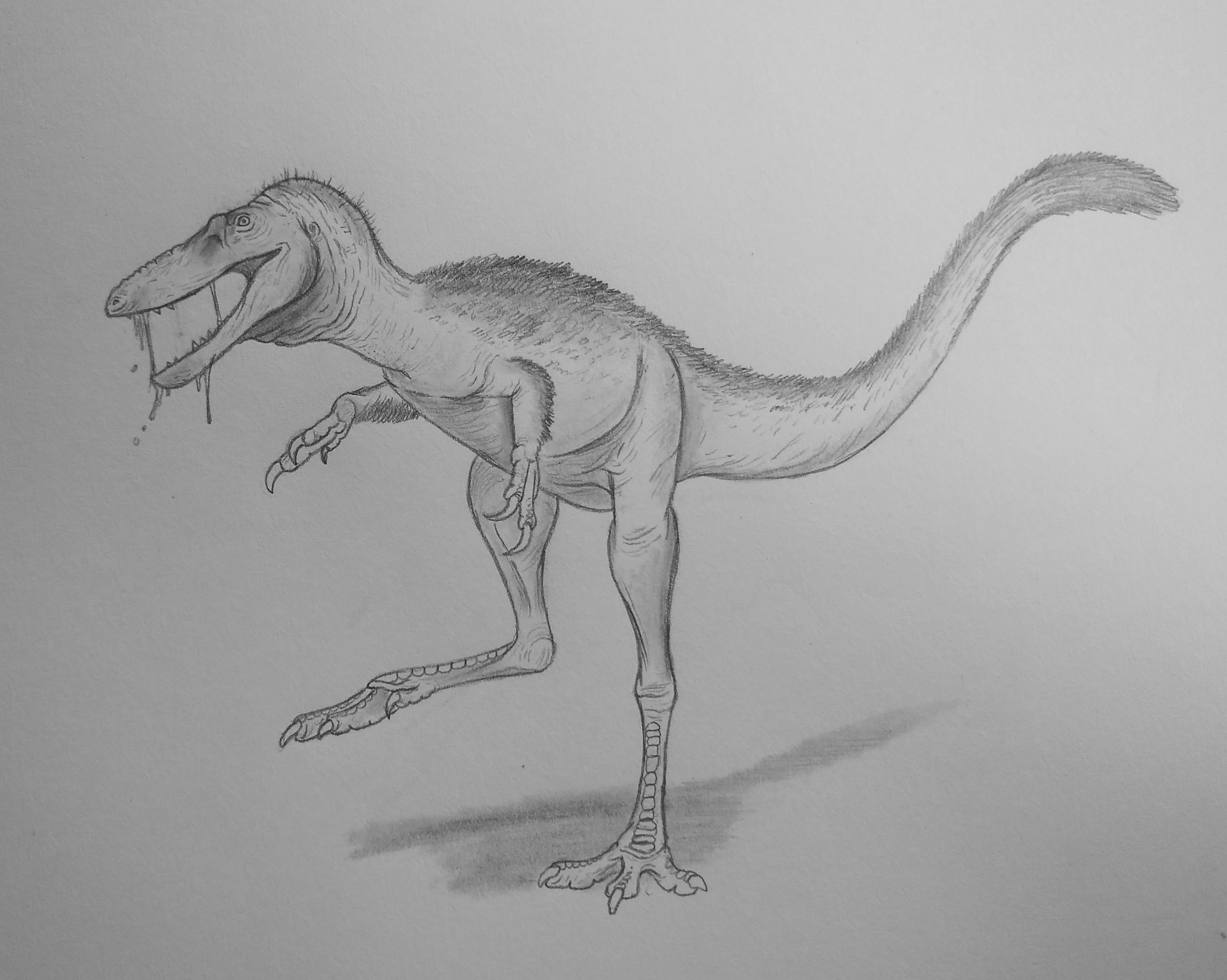 Deinocheirus mirificus by IllustratedMenagerie on DeviantArt