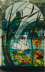 Swans behind the window. by jostrartat