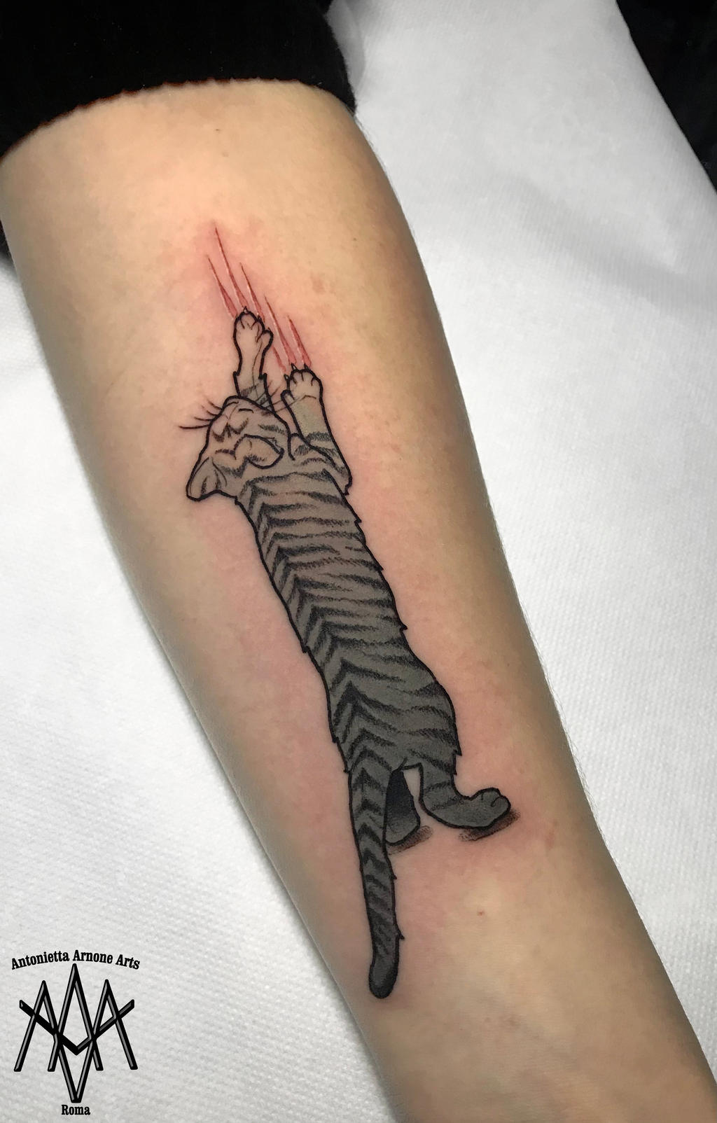 Scratchy cat tattoo by AntoniettaArnoneArts on DeviantArt